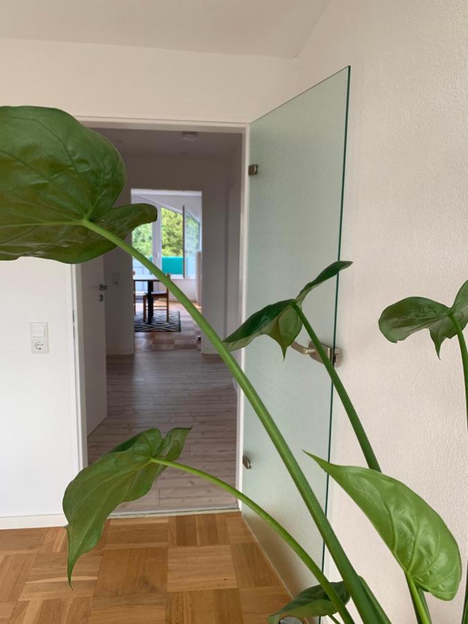 Schoene, Grosse Ferienwohnung Direkt Am Donauradweg & Keltenstadt Heuneburg Хербертинген Экстерьер фото