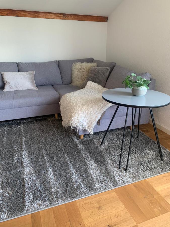 Schoene, Grosse Ferienwohnung Direkt Am Donauradweg & Keltenstadt Heuneburg Хербертинген Экстерьер фото